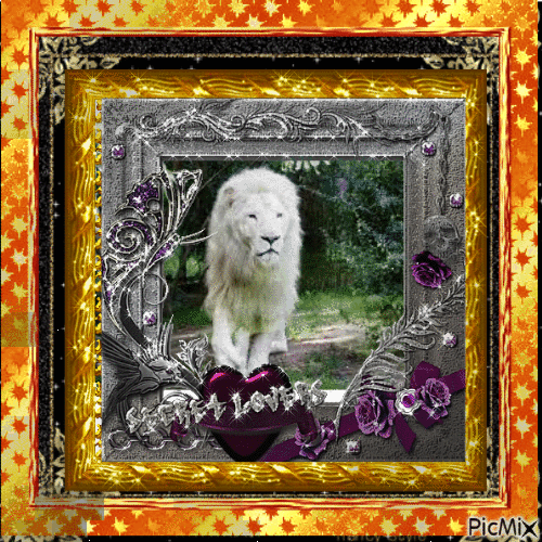 Lion blanc - GIF animado grátis