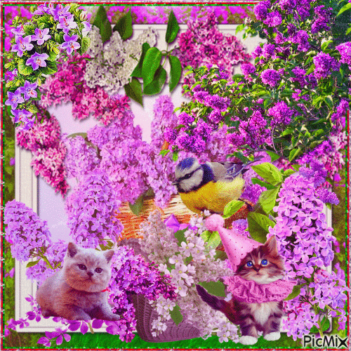 Le printemps fait refleurir le lilas - Darmowy animowany GIF