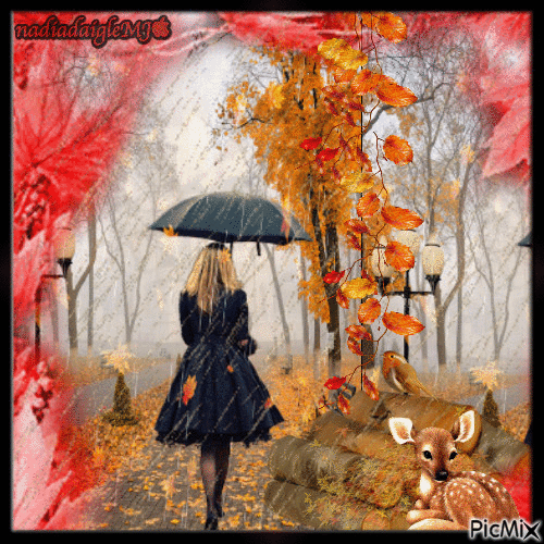 jour de pluie d'automne ,,, - 無料のアニメーション GIF