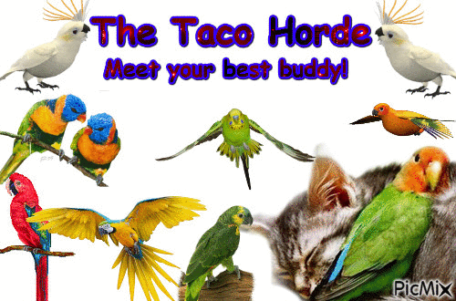 The Taco Horde - GIF animado gratis