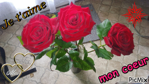 mes roses - Gratis geanimeerde GIF