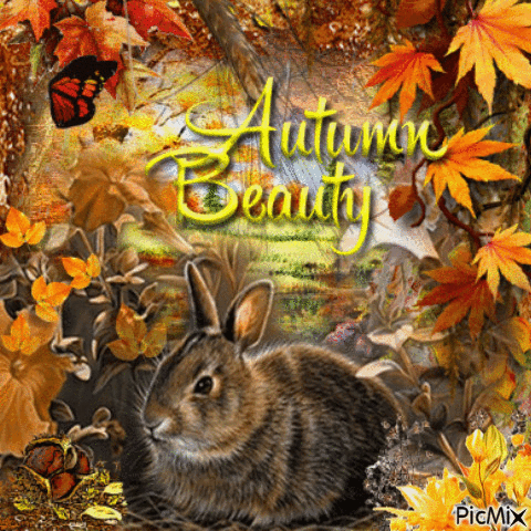autumn - Zdarma animovaný GIF