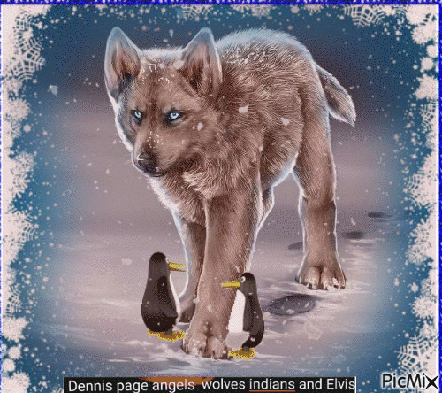 wolf with pinguin - Gratis geanimeerde GIF