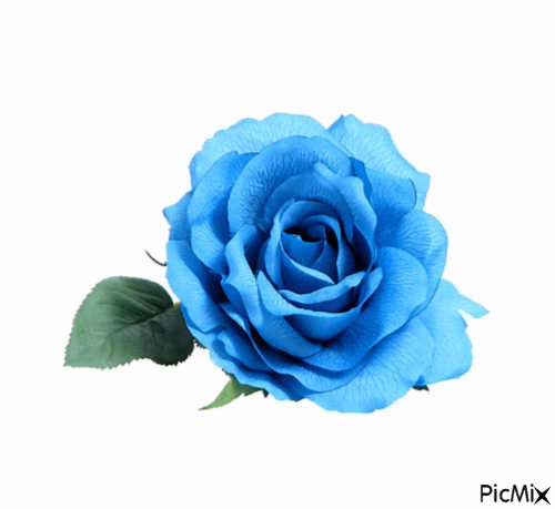 MY BLUE LOVE - Free PNG