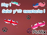 Moustache !!! - Darmowy animowany GIF