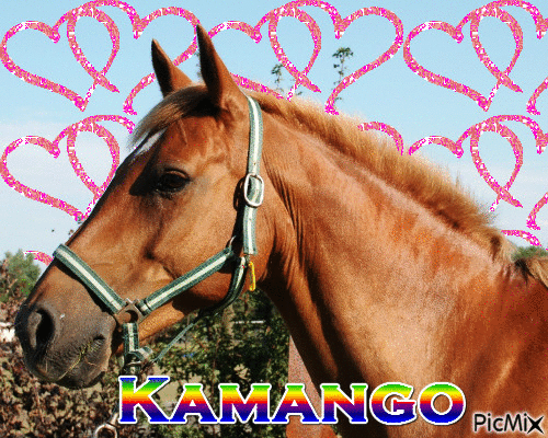Kamango ♥ - GIF animé gratuit