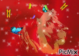 L'ami des papillons - 無料のアニメーション GIF