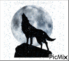 wolf 10 - Gratis geanimeerde GIF