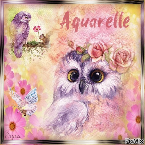 Petite chouette aquarelle - бесплатно png
