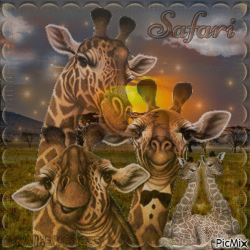 Giraffe Safari - Zdarma animovaný GIF