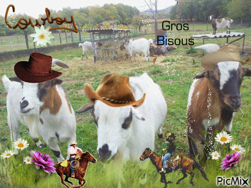 les cowboys - GIF animado grátis