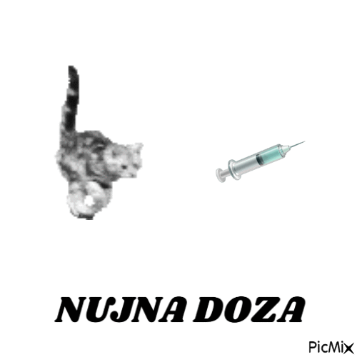 kitty cat has suffering from drug addiction - Бесплатный анимированный гифка