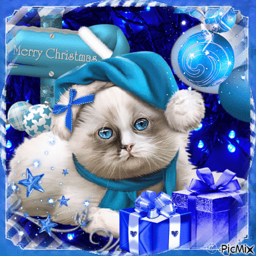 Chat de Noël en bleu / concours - Gratis animerad GIF