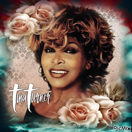 Tina Turner - бесплатно png