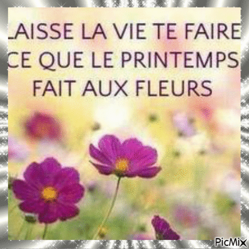 Proverbes, citations - Free animated GIF