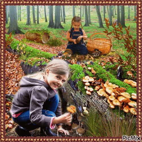 Zwei Kinder suchen im Wald Pilze - GIF animé gratuit