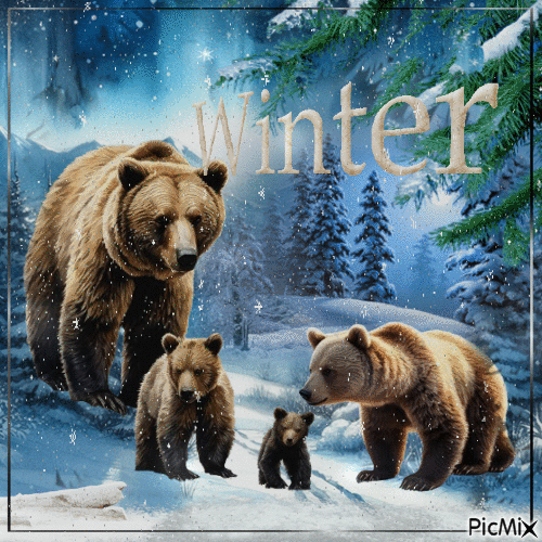 Una familia de osos pardos en invierno - GIF animado gratis