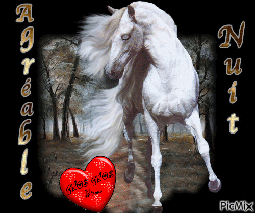un cheval blanc dans la nuit - Безплатен анимиран GIF