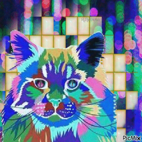 Rainbow cat - GIF animado grátis