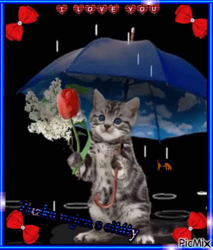 kočka s deštníkem - Бесплатный анимированный гифка