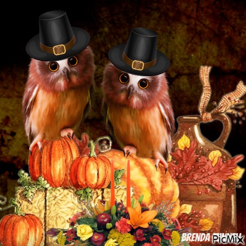 thanksgiving owl - zdarma png