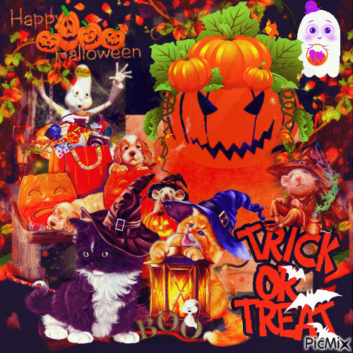 La fête d'Halloween des petits chats - Бесплатный анимированный гифка