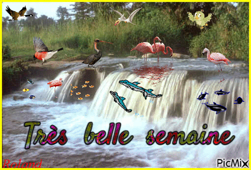 Très belle semaine - Free animated GIF