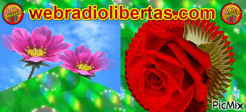 Web Rádio Libertas - GIF animado grátis