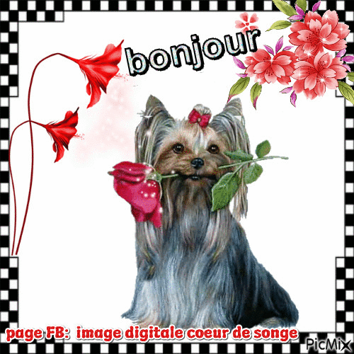 bonjour chien - Darmowy animowany GIF