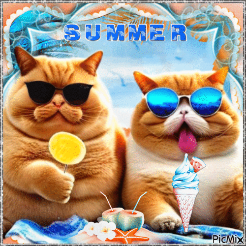 Summer - Cat on the beach - Ingyenes animált GIF