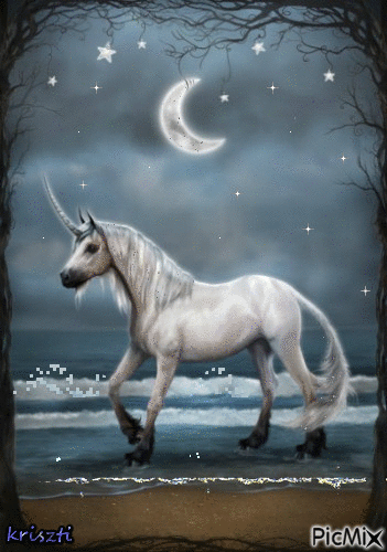 Wonderful unicorn - Ingyenes animált GIF