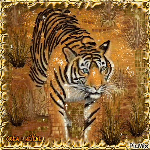 tigre royal - Δωρεάν κινούμενο GIF