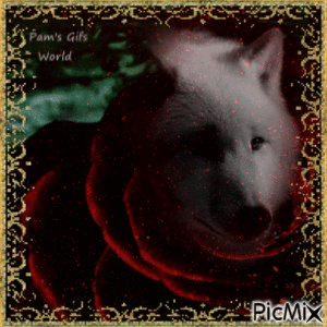 Wolf in Rose - GIF animé gratuit