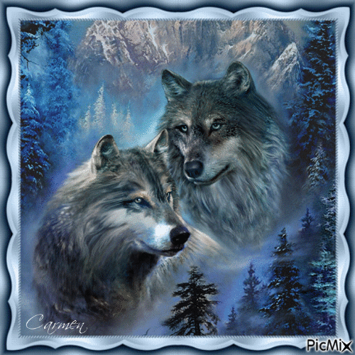 Wolves - Ingyenes animált GIF