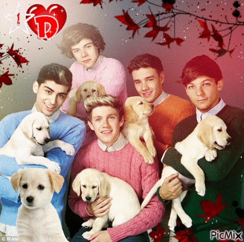 One Direction - Free animated GIF