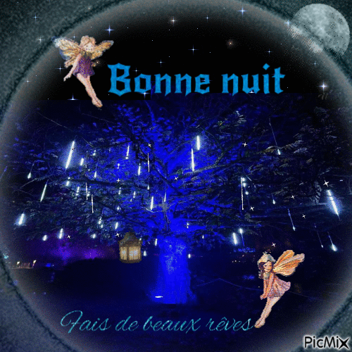 Bonne nuit - Zdarma animovaný GIF