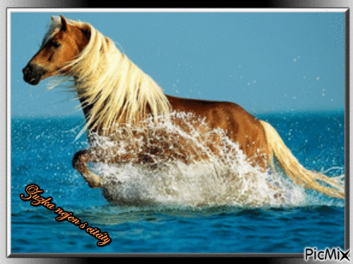 kůň - Bezmaksas animēts GIF