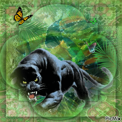 pantera nella giungla - Nemokamas animacinis gif