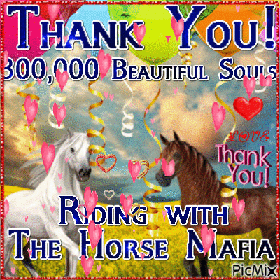 The Horse Mafia 300K Thank You - Bezmaksas animēts GIF