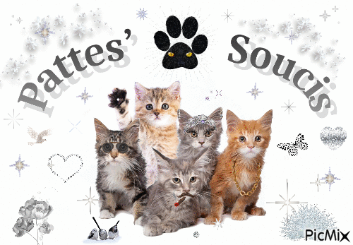Pattes soucis - Бесплатный анимированный гифка