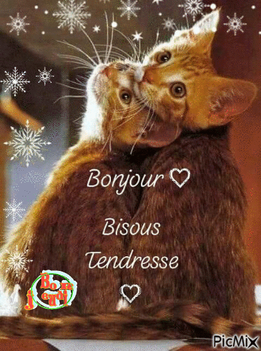 bonjour bisous tendresse - Безплатен анимиран GIF