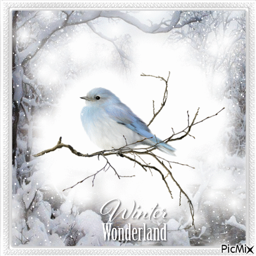 Winter Wonderland - Gratis geanimeerde GIF