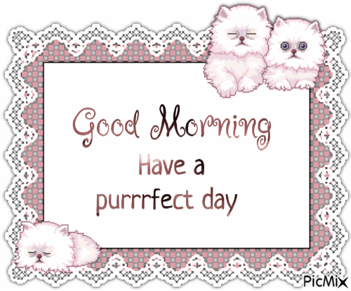 Good Morning, kitten - Free animated GIF