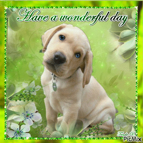 Have a wonderful day - Free animated GIF