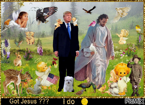 Trump Got Jesus - Free animated GIF
