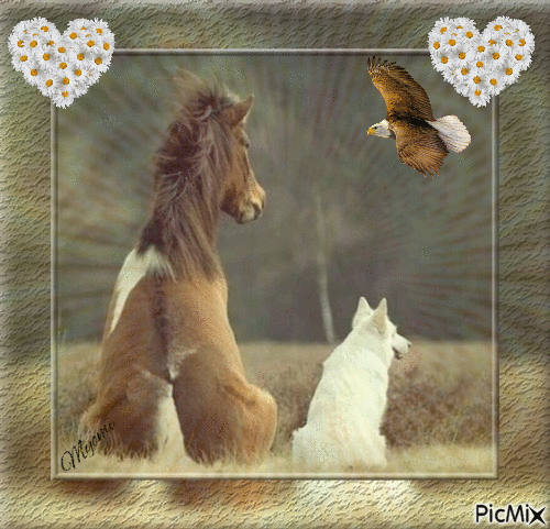 cheval et chien - Free animated GIF