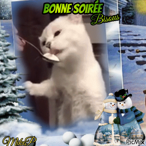 bonne soiree - Darmowy animowany GIF