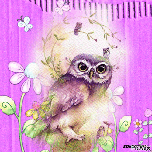 owl - Kostenlose animierte GIFs