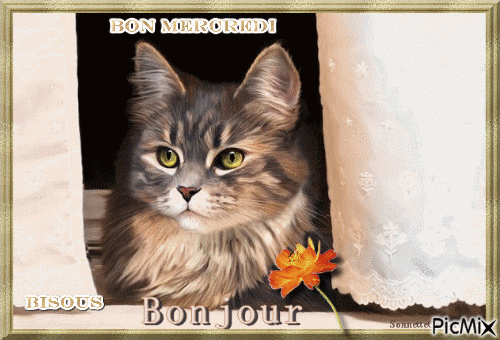Bon mercredi - Δωρεάν κινούμενο GIF