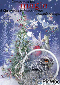 Christmas owl - Animovaný GIF zadarmo